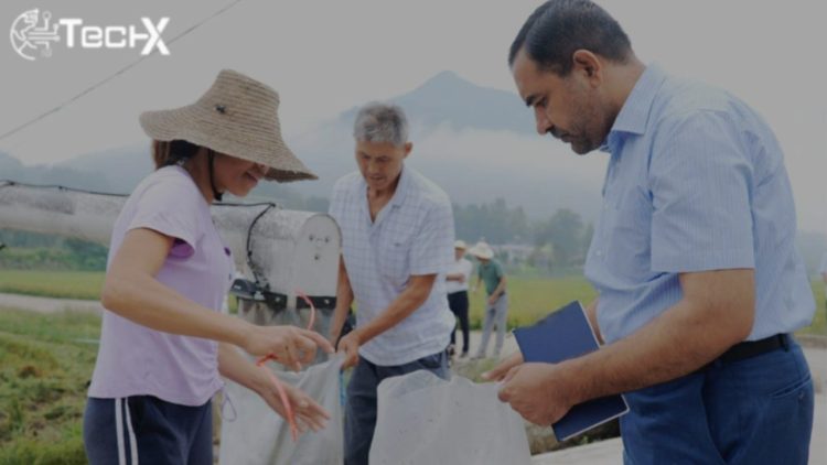 Pakistani-Chinese Scientists Develop Hybrid Rice Seed Tripling Yields