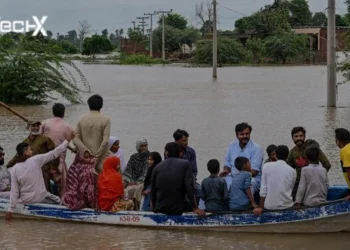 Pakistan's Monsoon Death Toll Tops 800 After Rains Wreak Havoc
