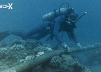 IT Ministry Confirms New Submarine Cable Project for Pakistan