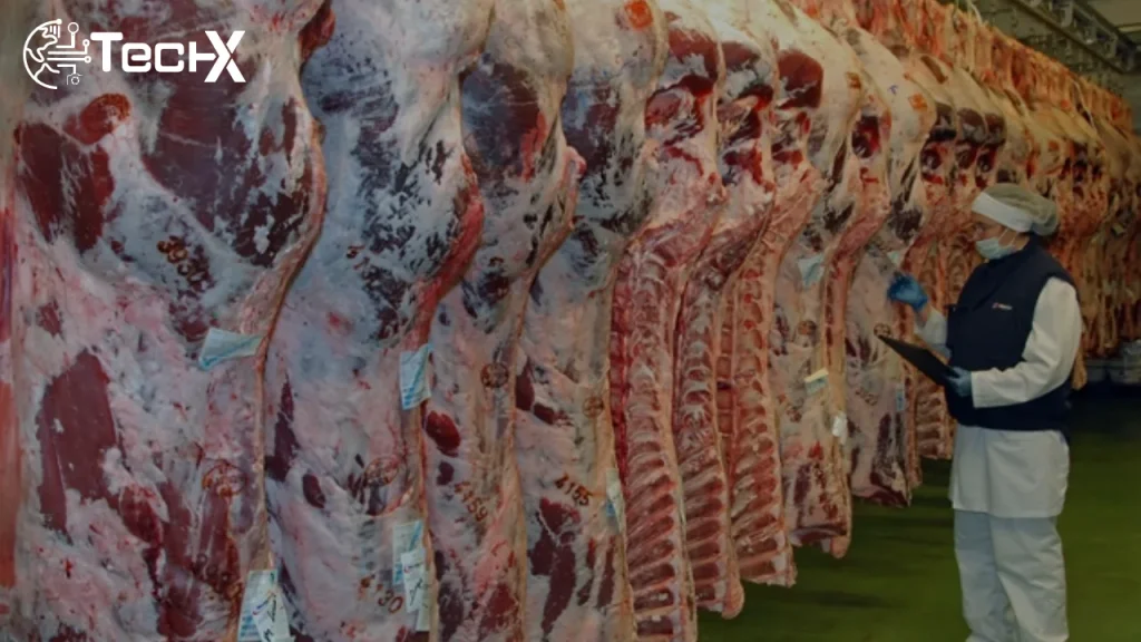 Government to Remove Hurdles in Pakistan’s Meat Export Sector