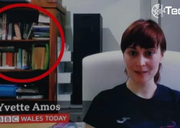 Yvette Amos: BBC Guest Who Went Viral Unexpectedly
