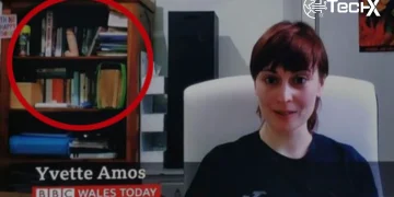 Yvette Amos: BBC Guest Who Went Viral Unexpectedly