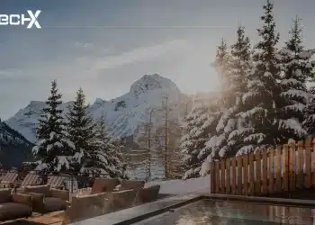 Best Alpine Wineries and Mountain Vineyards