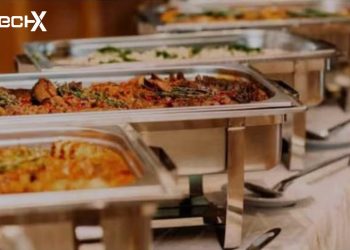 Punjab Announces Crackdown on One-Dish Violations