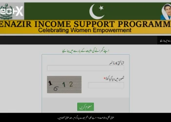 How to Check Your BISP Status