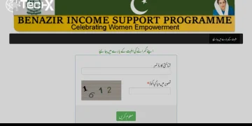 How to Check Your BISP Status