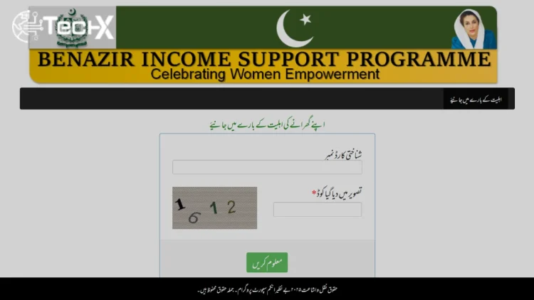 How to Check Your BISP Status