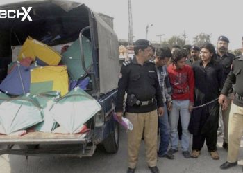 Punjab Orders Strict Crackdown on Illegal Kite Flying Ahead of Basant