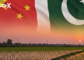 Pakistan China Agriculture