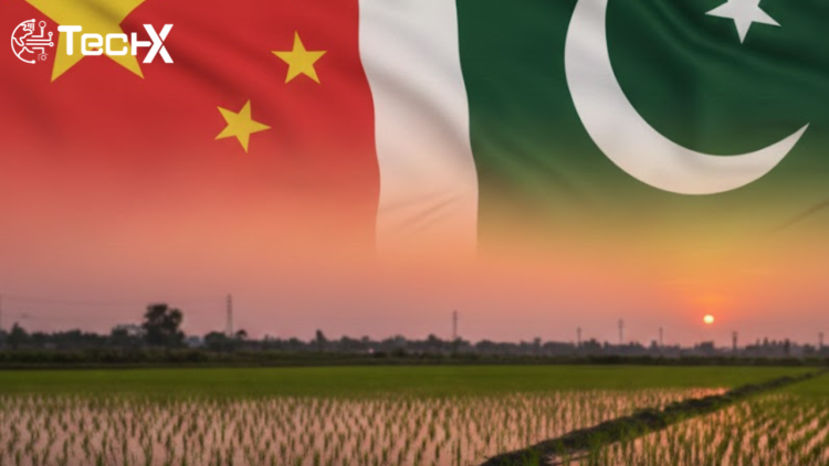 Pakistan China Agriculture