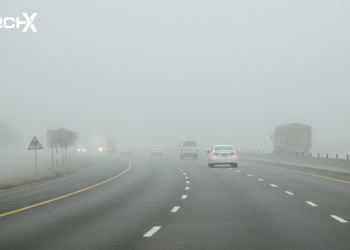 Punjab fog alert