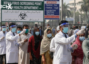 Sindh Nipah virus