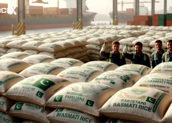 Pakistan Rice
