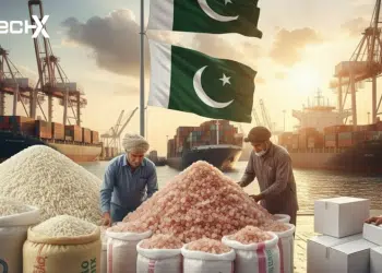 Pakistan exports