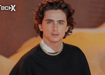 Timothée Chalamet Movies, Career and Rise to Fame