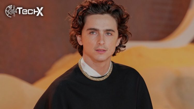 Timothée Chalamet Movies, Career and Rise to Fame