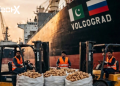 Pakistan Commences Potato Exports to Russia After Regulatory Approval
