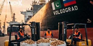 Pakistan Commences Potato Exports to Russia After Regulatory Approval