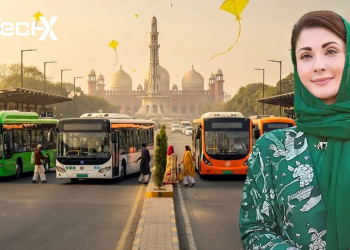 Free Public Transport