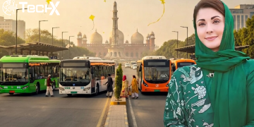 Free Public Transport