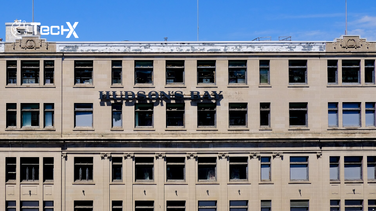PIA Rebranding Gets a Canva Bid as New Owners Settle